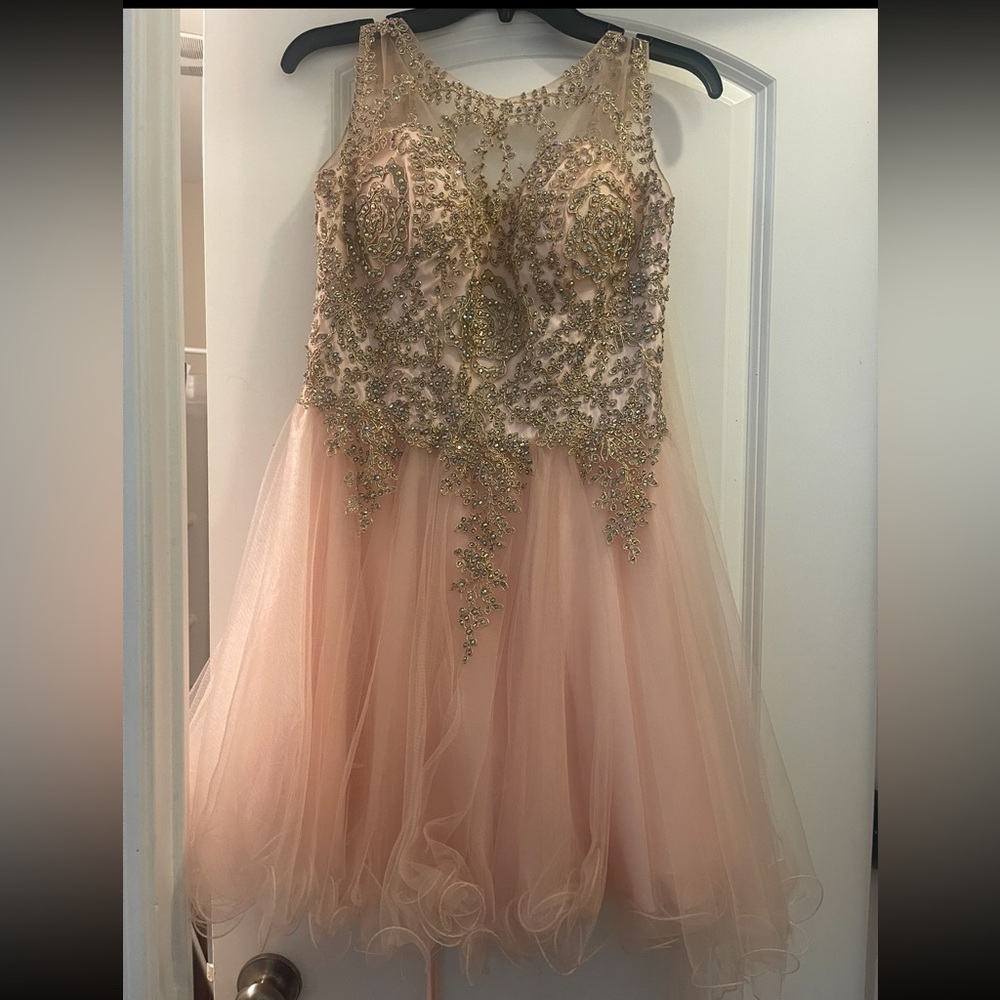 Embellished Pink Tulle Dress